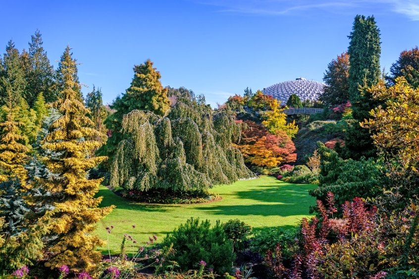 Queen Elizabeth Park điểm đến thư giãn nổi bật ở Vancouver