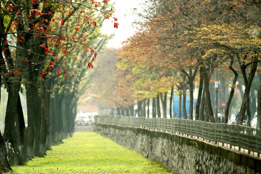 Phong cảnh thơ mộng và nên thơ của mùa thu Hà Nội