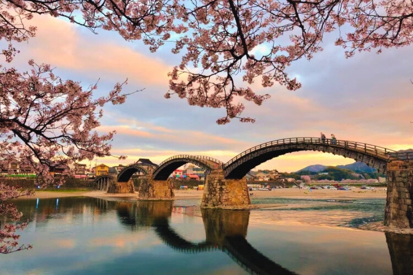 Cầu Kintai Iwakuni vào buổi hoàng hôn với hoa anh đào nở rộ ở tiền cảnh