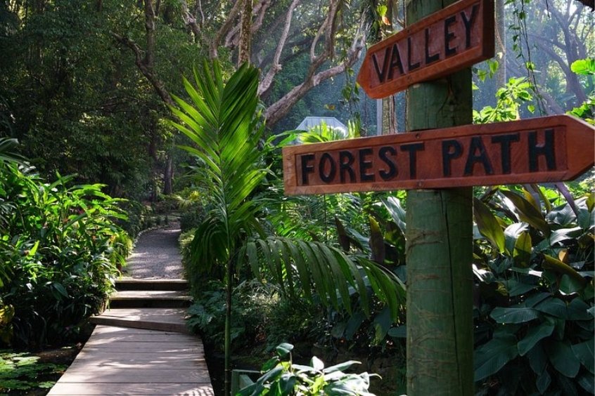 Garden of the Sleeping Giant: Viên ngọc xanh giữa lòng Nadi, Fiji 