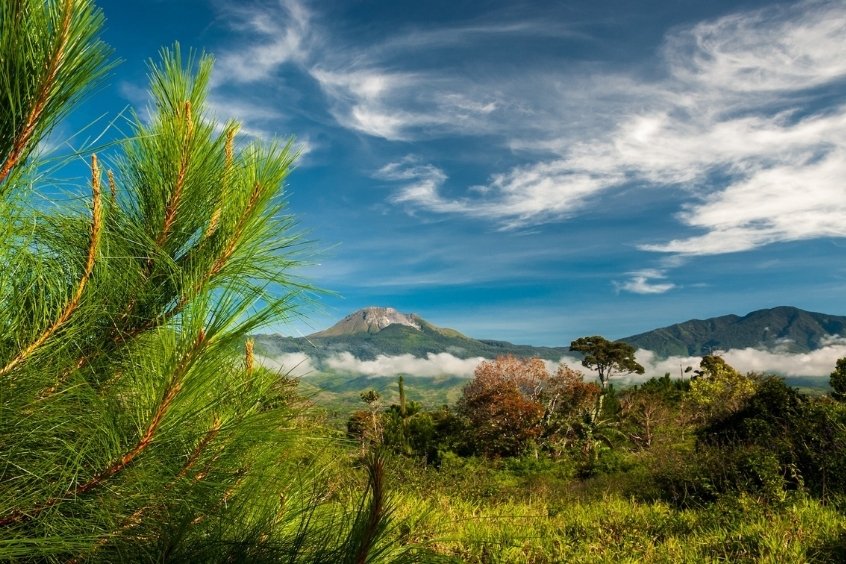 Vẻ đẹp hoang sơ giữa mây trời và núi rừng Apo nguyên sơ