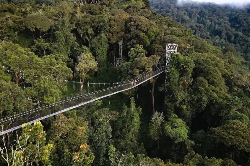 Vé máy bay đi Rwanda