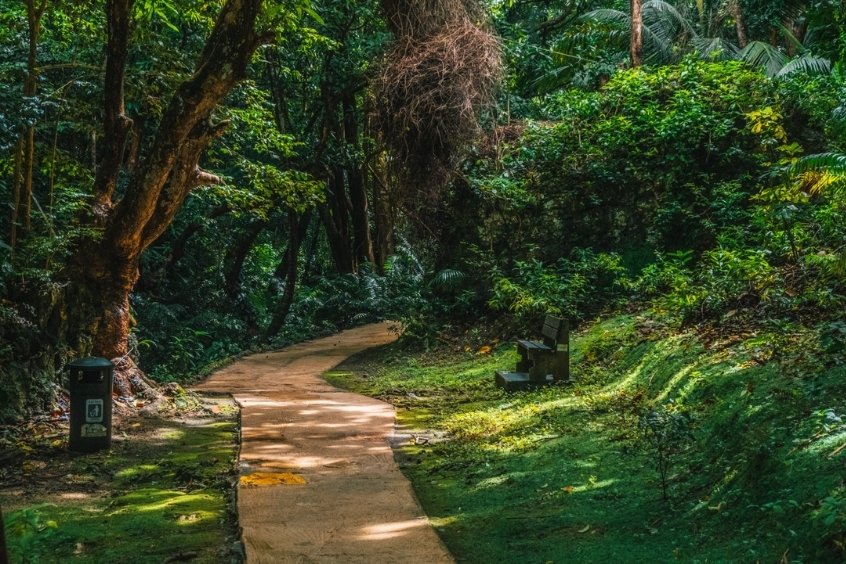 Thả hồn vào thiên nhiên xanh mát tại Công viên quốc gia Welchman Hall Gully