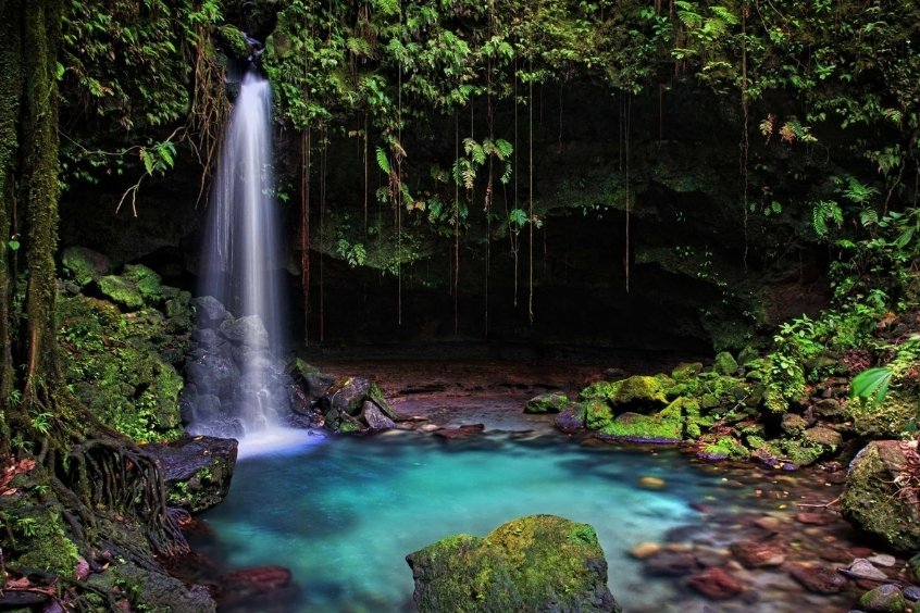 Vé máy bay đi Dominica