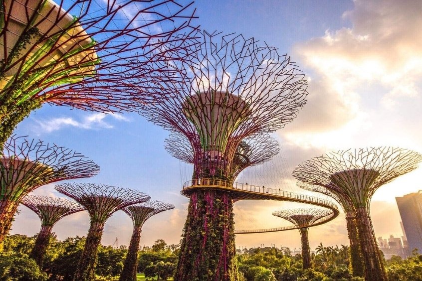 Gardens by the Bay - Kỳ quan xanh giữa lòng đô thị 