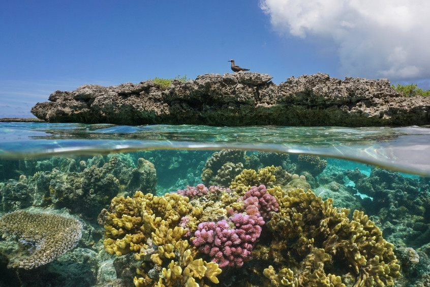 Vé máy bay đi Tuvalu