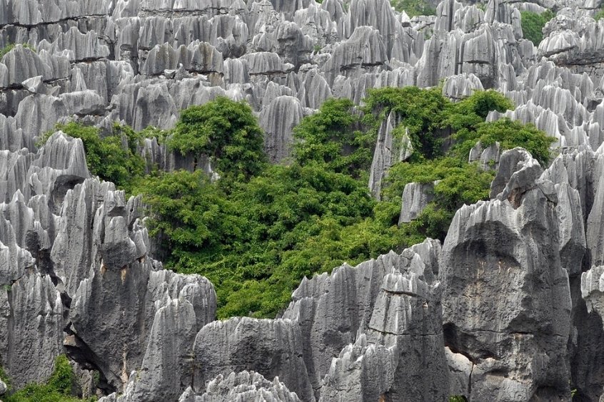 Cảnh đẹp hùng vĩ của Rừng Đá Thạch Lâm nổi tiếng ở Côn Minh