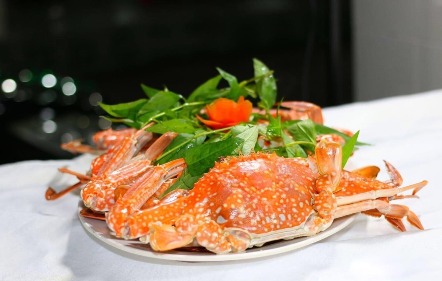 Thưởng thức hải sản tươi ngon Vân Đồn – Hương vị biển cả khó quên