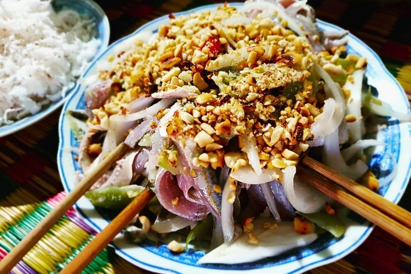 Gỏi cá nghéo tươi ngon đặc sản Quảng Bình, được chế biến từ cá tươi sống kèm rau thơm và nước chấm đậm đà