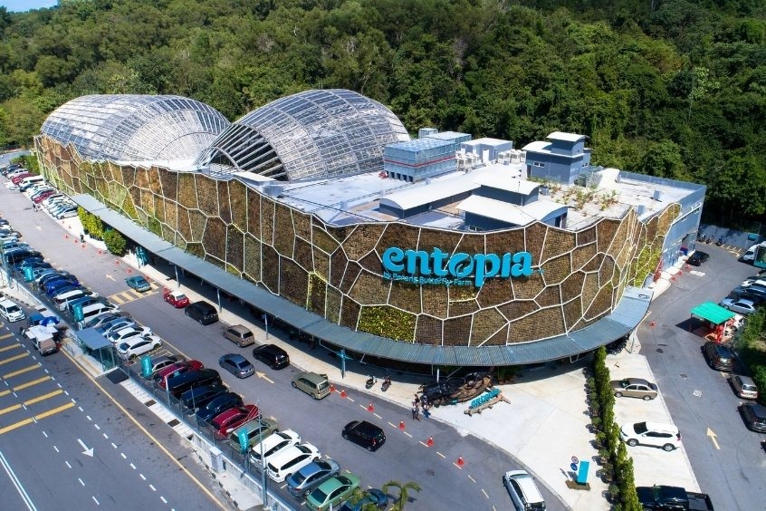 Vườn thực vật Penang - Những bức tranh tường đã trở thành biểu tượng nghệ thuật của Penang