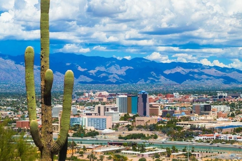 Du khách đến Tucson sẽ bất ngờ trước nhiều loài xương rồng khổng lồ