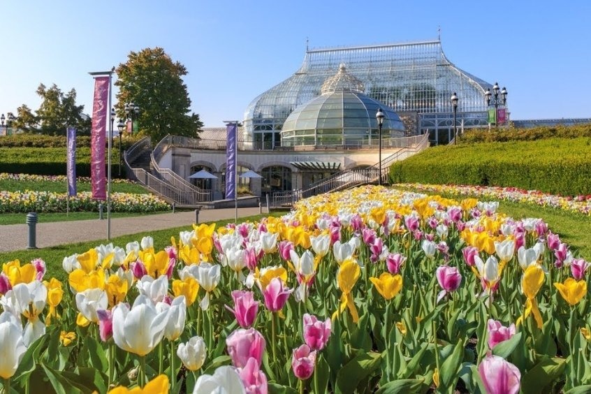 Khám phá vườn ươm và vườn bách thảo Phipps ở Pittsburgh