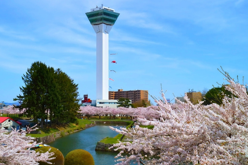Toàn cảnh Tháp Goryokaku nổi bật giữa mùa hoa anh đào nở rộ tại Hakodate