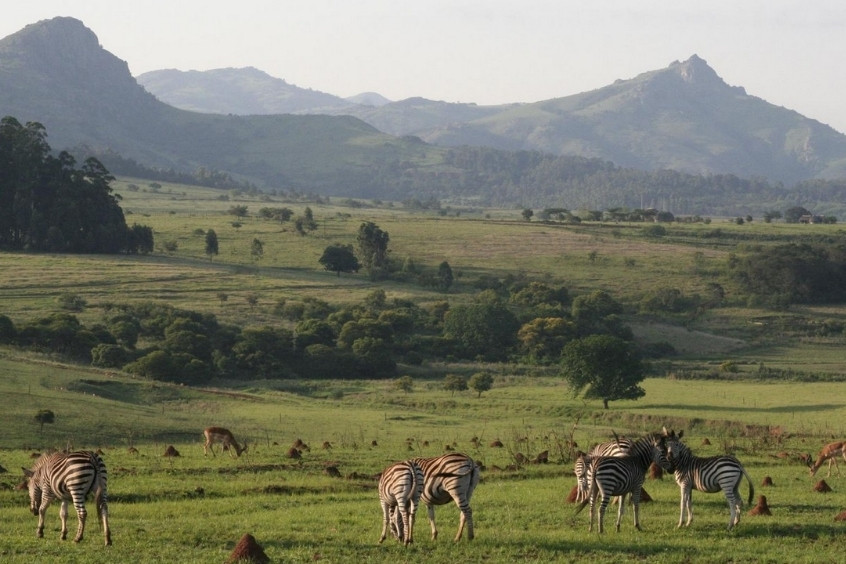 Vé máy bay đi Eswatini