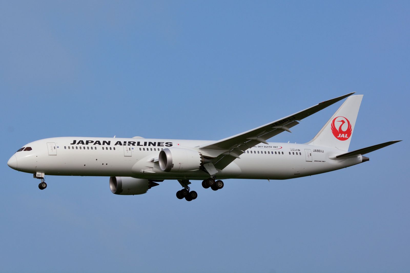 Bay đến Dallas cùng Japan Airlines (Ảnh: Internet)