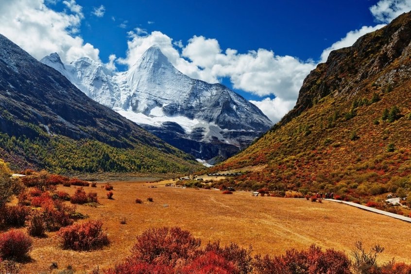 Thảo nguyên Gran Chaco là một khu vực tự nhiên đa dạng,  với hệ động vật phong phú