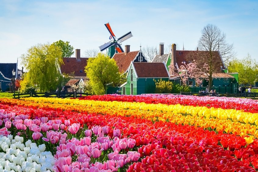 Vé máy bay đi Hà Lan