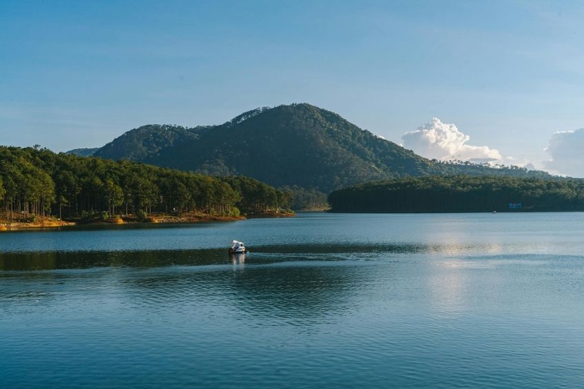 Vẻ đẹp trong lành bình yên tại xứ sở rừng thông Đà Lạt 