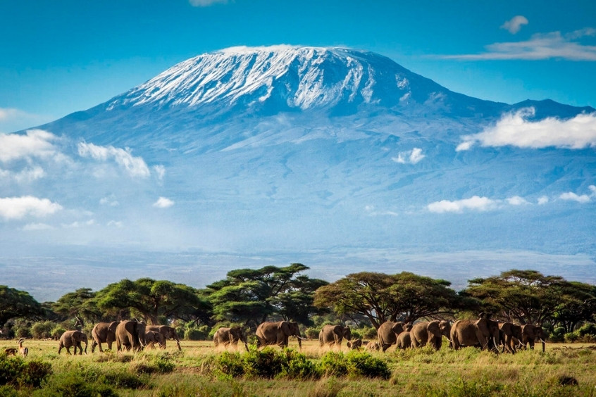  Công viên Quốc gia Bénoué ở Cameroon là một khu vực bảo tồn rộng lớn 180.000 ha