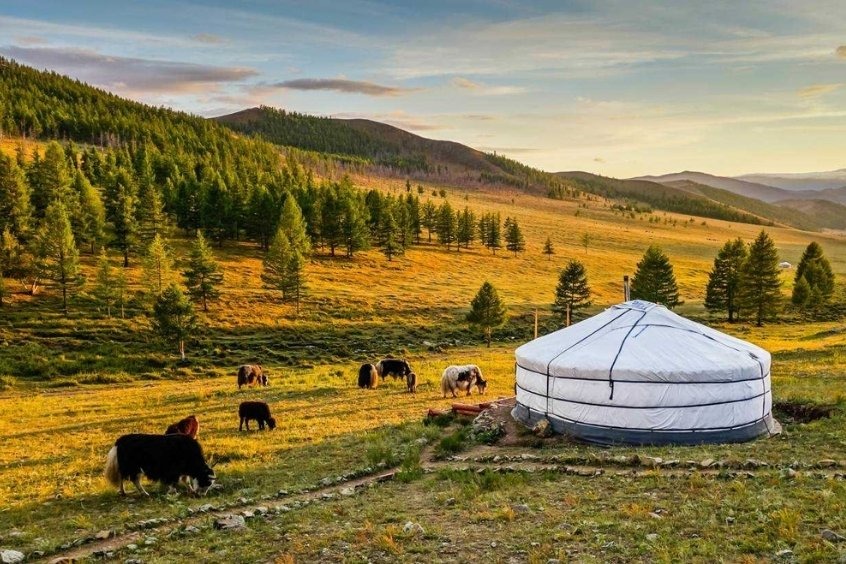 Thảo nguyên Orkhon - Gắn liền với lịch sử du mục Mông Cổ