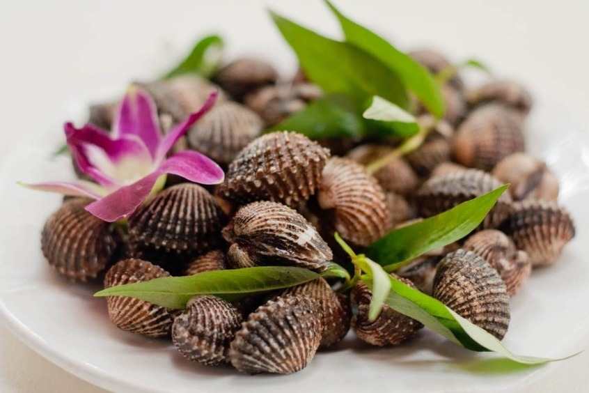 Sò huyết đầm Ô Loan món ăn đặc sản Tuy Hòa 