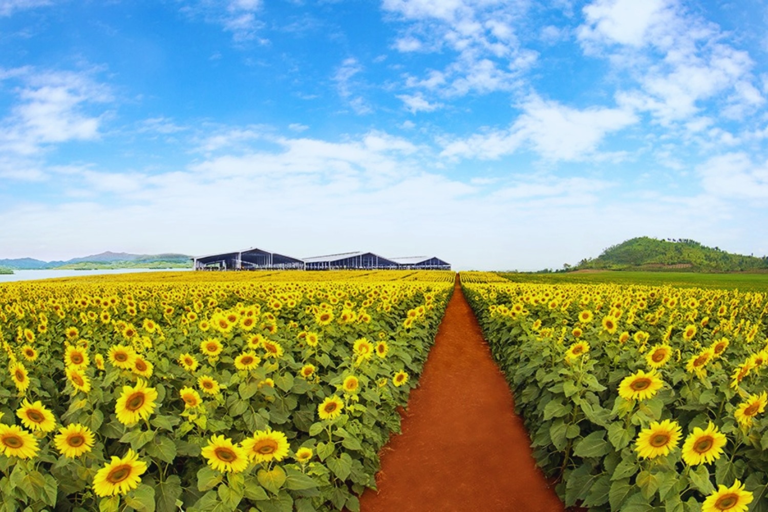 Thành phố Vinh - Thành Phố Đỏ