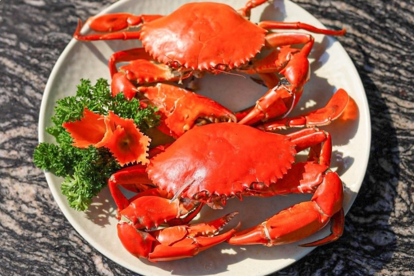 Cua Cà Mau - Món ăn đặc sản của vùng đất cực Nam tổ quốc