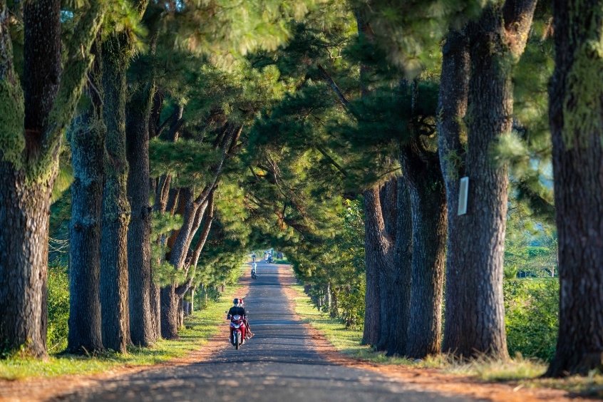 Vé máy bay đi Pleiku