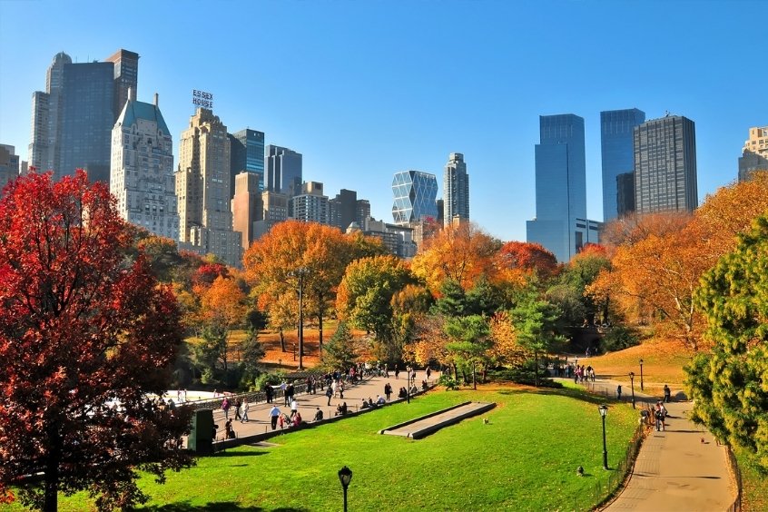 Công viên Central Park New York, điểm đến nổi tiếng giữa lòng thành phố hiện đại