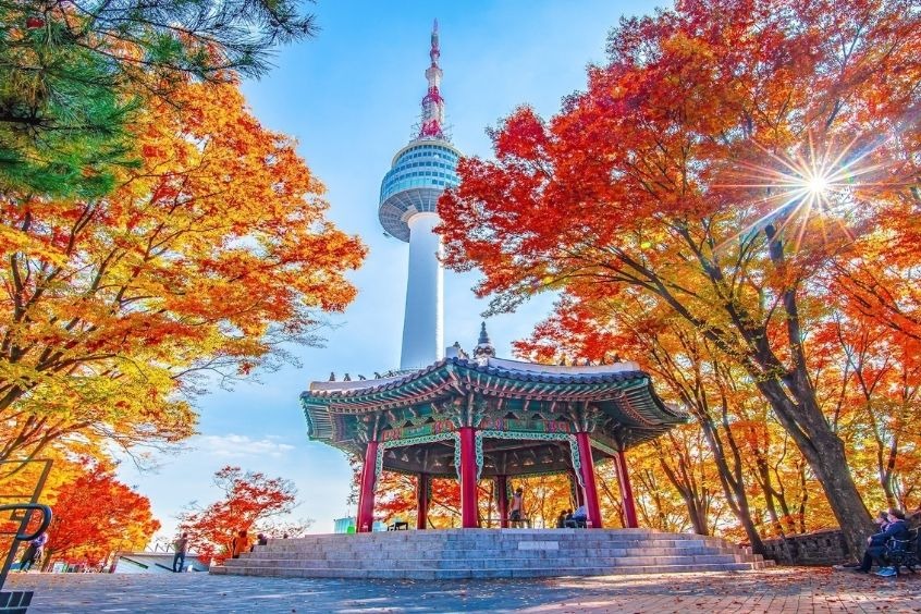 Vé máy bay từ Hà Nội đi Seoul - Tháp N Seoul trong khung cảnh mùa thu với những tán lá đỏ và vàng rực rỡ 