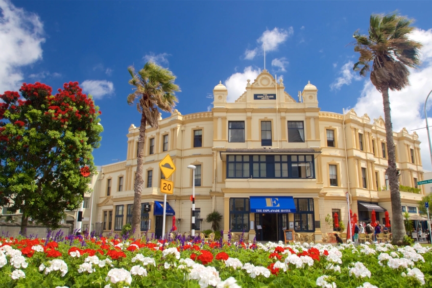 Khám phá vẻ đẹp yên bình và thanh lịch của Auckland. 