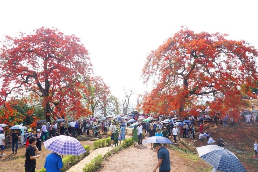 Khai trương đường bay thẳng từ TP.HCM đến Điện Biên