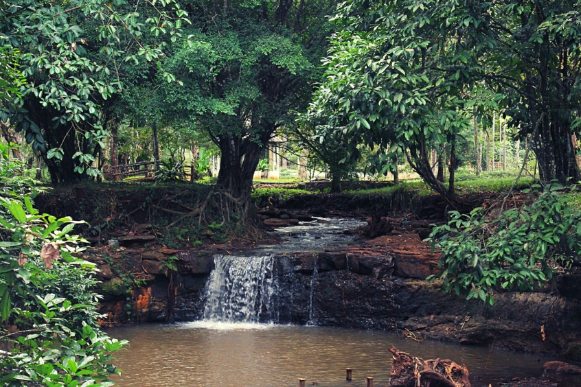 Thác số 4 Bình Phước - Dòng chảy của thiên nhiên hoang sơ