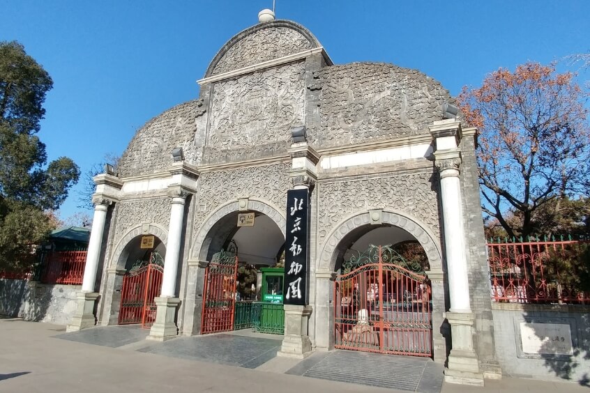 Khám phá Sở thú Bắc Kinh, tìm về những khoảnh khắc đáng yêu bên các loài vật