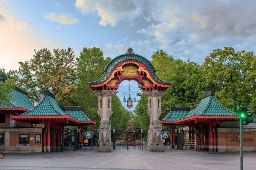 Tận hưởng khoảnh khắc gần gũi với thiên nhiên tại Vườn Thú Berlin.