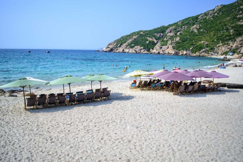 Sắc xanh quyến rũ ở Bãi Nồm