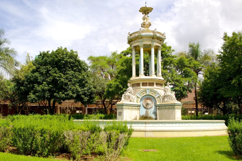 Khám phá thế giới hoang dã tại Công viên Lion, Nam Phi