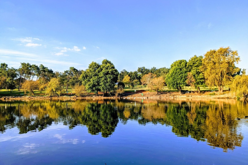 Khoảnh khắc tuyệt vời tại Hồ Zoo, nơi động vật và cây xanh cùng tồn tại