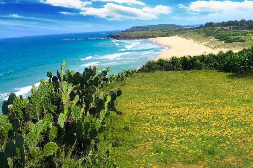 Những lưu ý nhỏ kinh nghiệm du lịch Phú Yên từ 190 Travel 