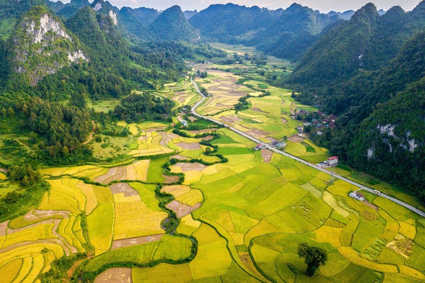 Những ngôi nhà sàn ẩn mình trong mây mù của núi rừng – vẻ đẹp kỳ ảo chỉ xuất hiện vào sáng sớm mùa thu ở Cao Bằng. (Nguồn: Internet)