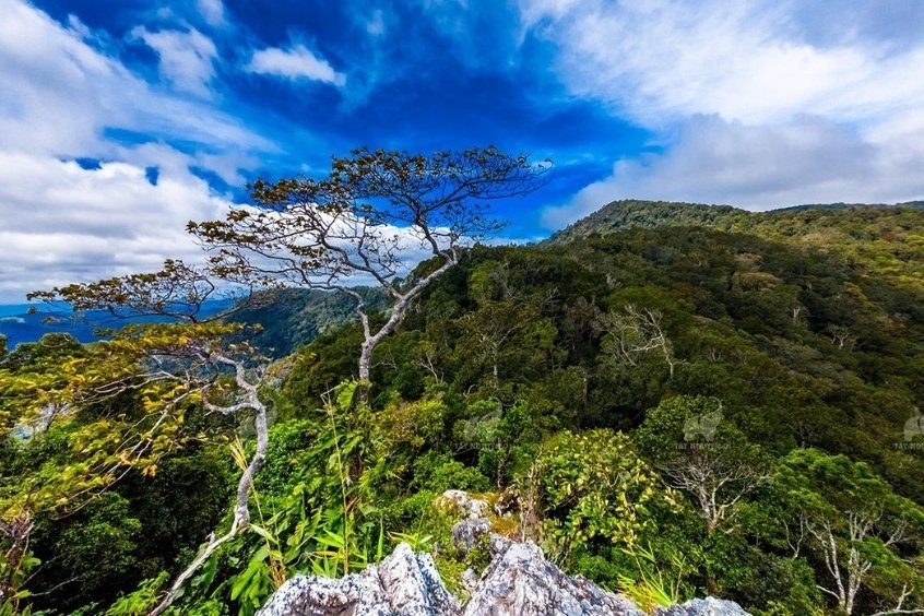 Vườn Quốc gia Kon Ka Kinh – Nóc nhà xanh của Gia Lai