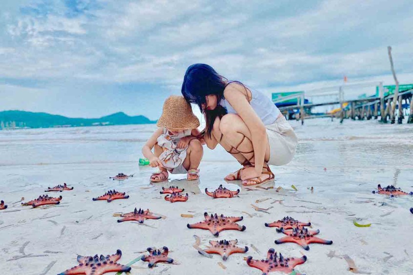 Sao biển đỏ rực tại Rạch Vẹm Phú Quốc vương quốc sao biển làng chài Bắc Đảo Phú Quốc