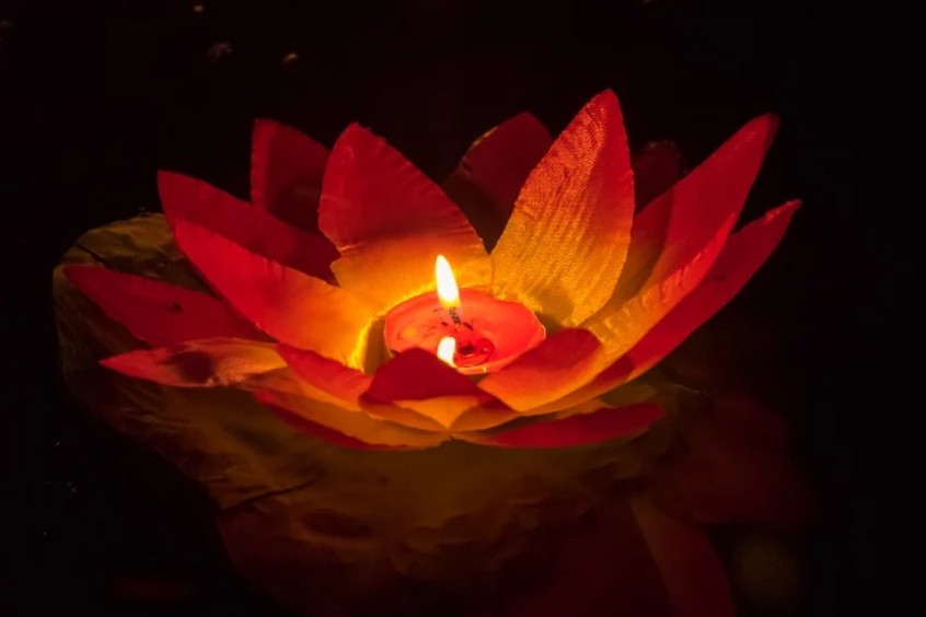 hoa đăng hình bông sen