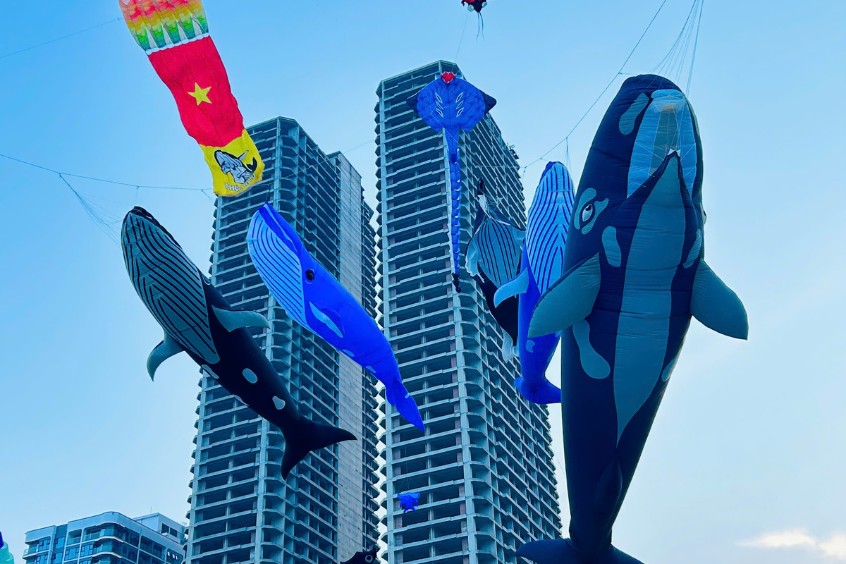 Diều khổng lồ hình cá voi và cá đuối bay lượn 