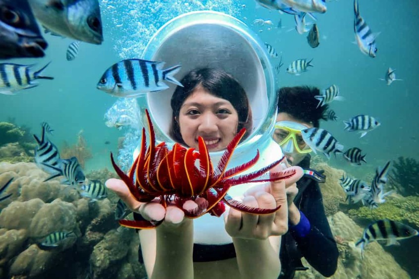 trải nghiệm di bộ dưới đáy biển