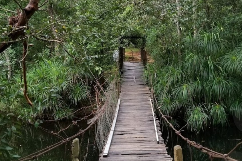 cây cầu dây văng độc đáo