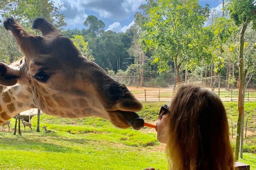 chụp ảnh cùng các loài động vật thân thiện