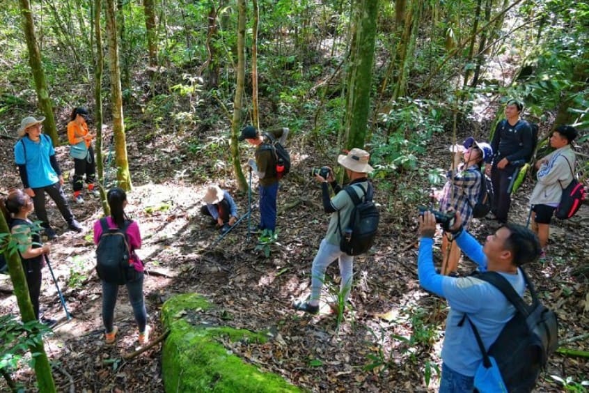 hoạt động trekking, leo núi