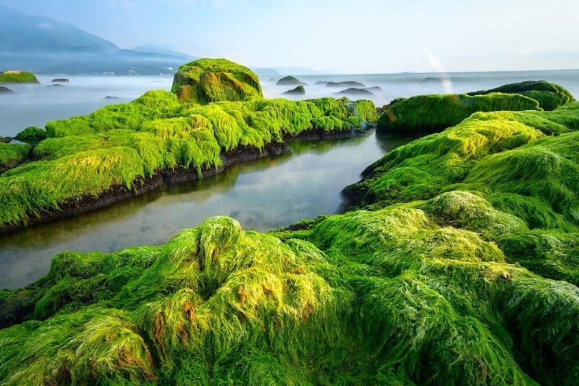 Biển Nam Ô nằm ở đâu