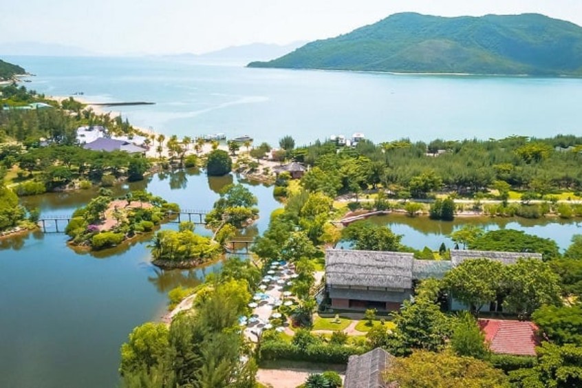 Vườn hoa lan rực rỡ khoe sắc 